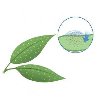 lateral-adubacao-foliar.webp