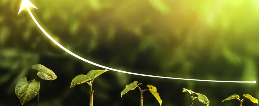 funcoes-e-importancia-dos-nutrientes-para-o-crescimento-das-plantas-1.webp
