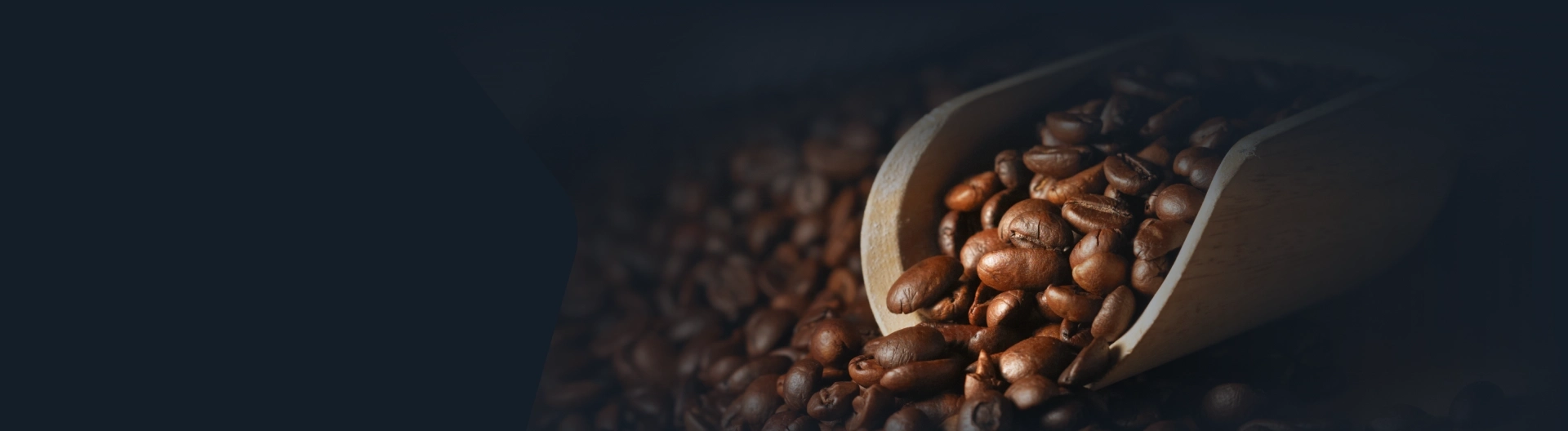 Programa ETHOS Café