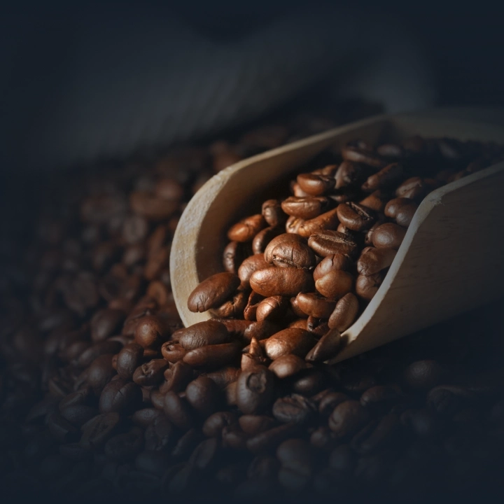 Programa ETHOS Café