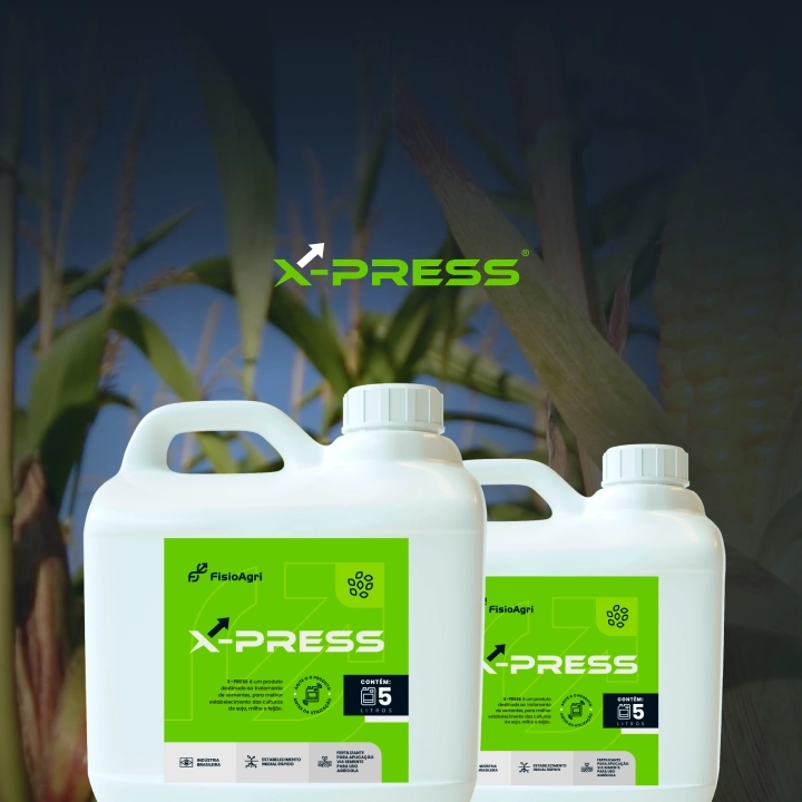 Solução X-PRESS