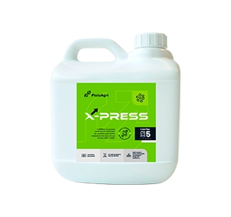 X-PRESS