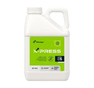 X-PRESS