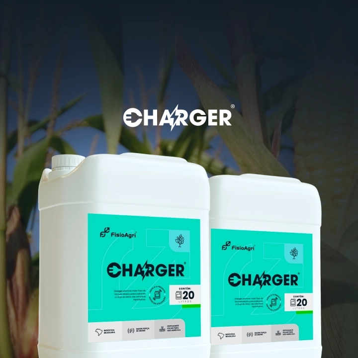 Solução Charger