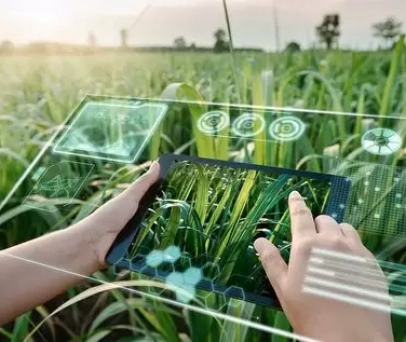 Inovações em Fisiologia Vegetal para Agricultura