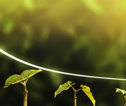 Funções e importância dos nutrientes para o crescimento das plantas